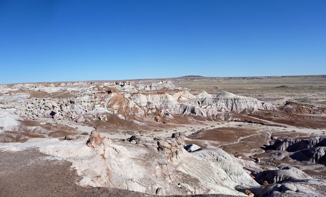 Blue Mesa Petrified Forest NP