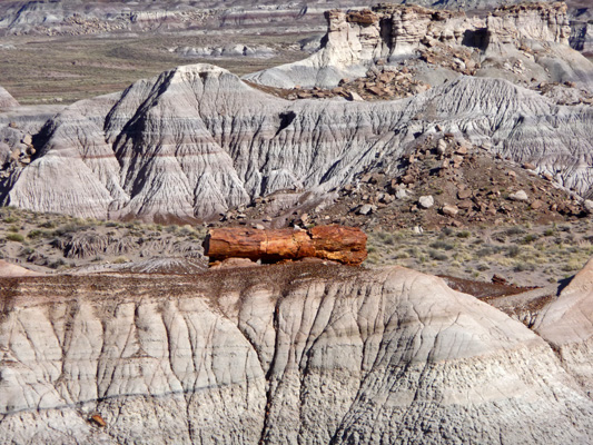 Perched petrified log Petrified Forest NP