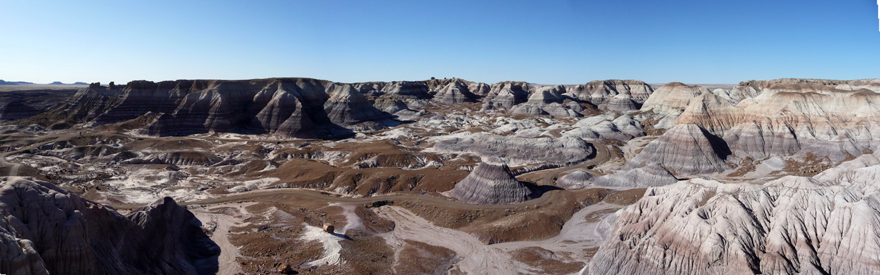 Blue Forest Petrified Forest NP