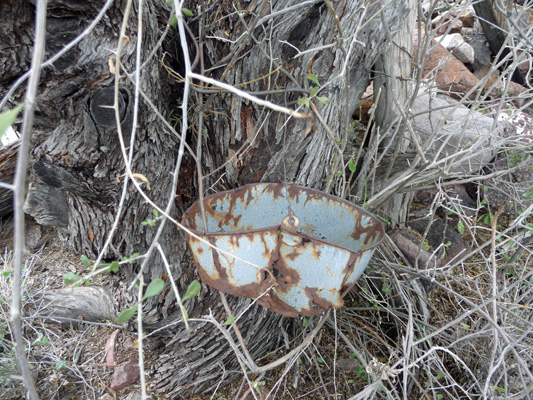 feed bucket Alamo Canyon corral Organ Pipe NM