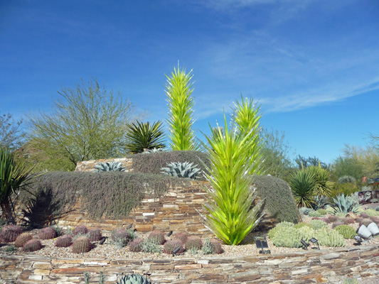 Chihuly Sculpture at Desert Botanical Garden AZ