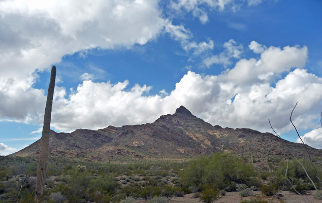 Pinkley Peak Organ Pipe Cactus Nat'l Mon