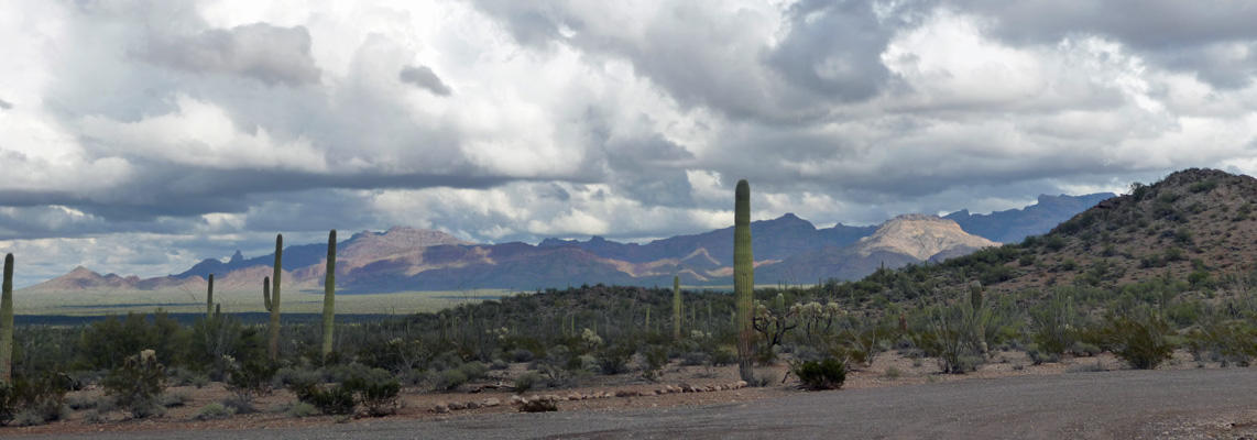 East from N Puerto Blanco Rd Organ Pipe NM