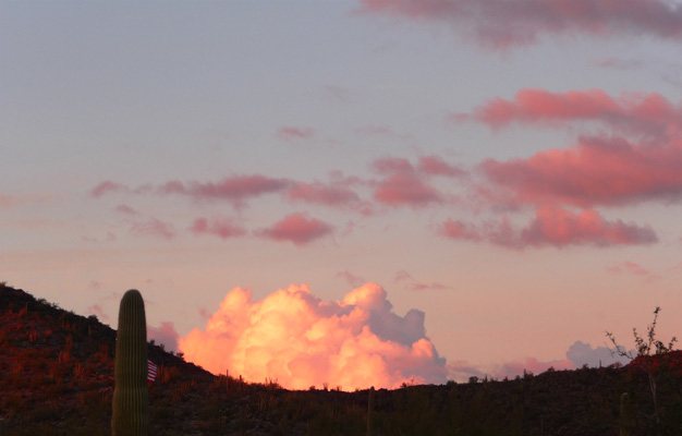 Sunset lit thunderhead Organ Pipe NM