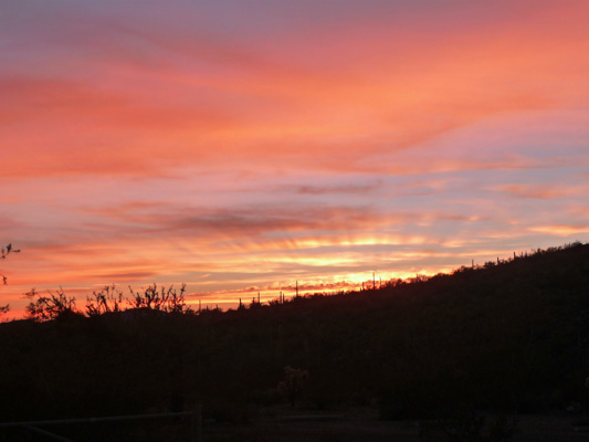 Sunset Twin Peaks Campground Organ Pipe NM