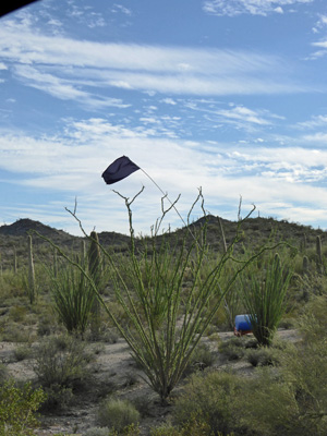 Water tank with flag N Puerto Blanco Rd