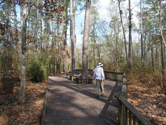 Boardwalk Huntsville State Park