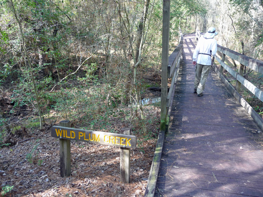 Wild Plum Creek bridge