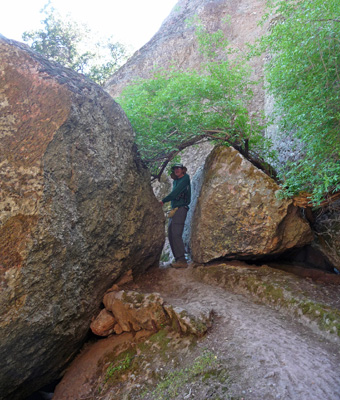 Trail between two close rocks Pinnacles NP