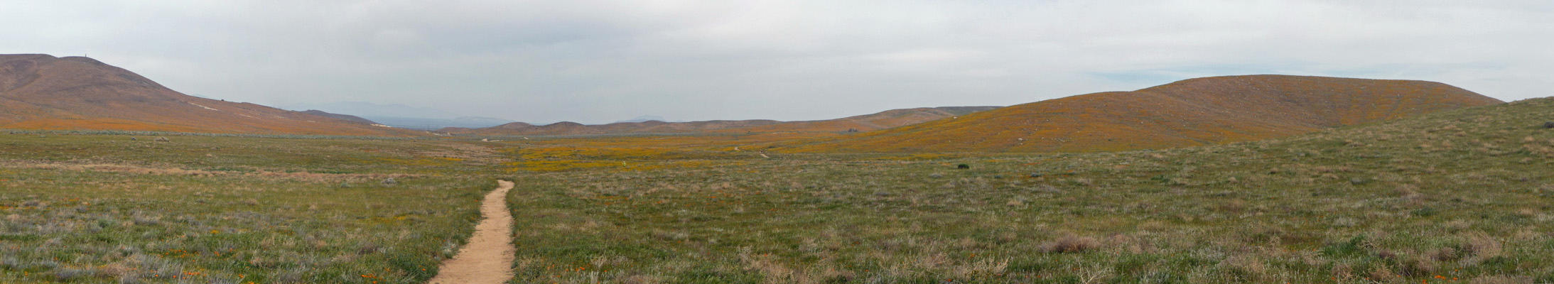 Northeast view from Poppy Reserve