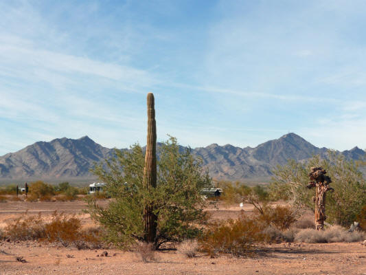 Road Runner Quartzsite campsite view