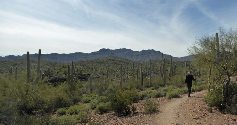 Sweetwater Preserve