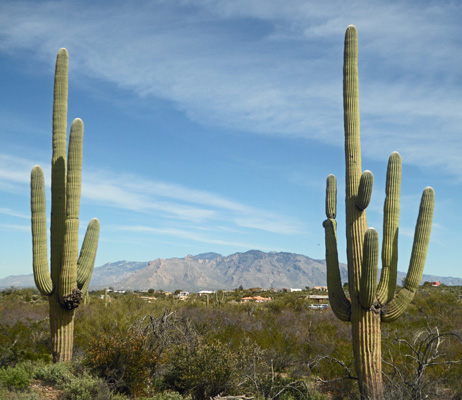 Sweetwater Preserve