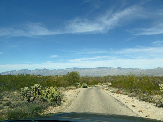 Saguaro NP East