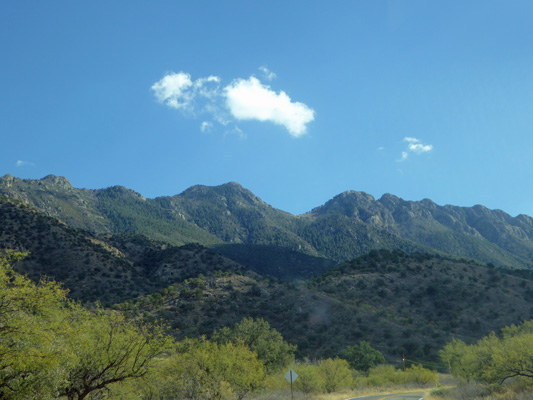 Madera Canyon AZ