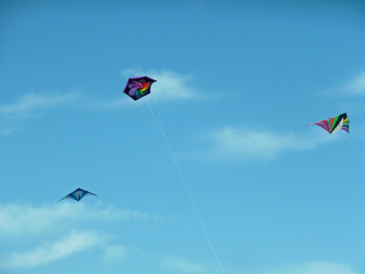 Kites South Padre Island TX