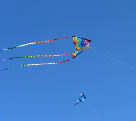 Kites South Padre Island