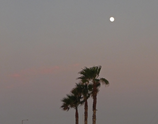 Full moon South Padre Island