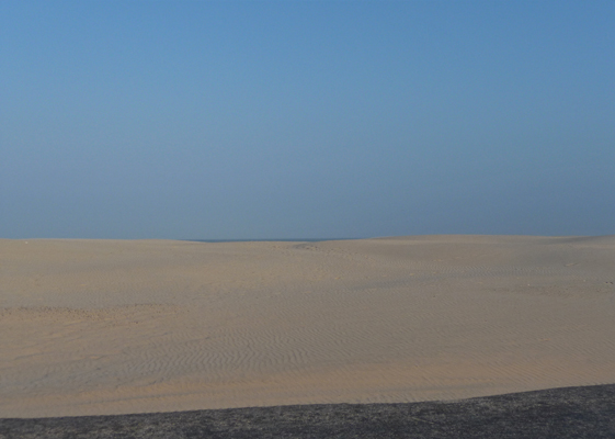 Sand dunes S Padre Island