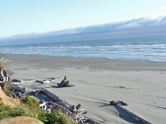 Early Evening Kalaloch Beach