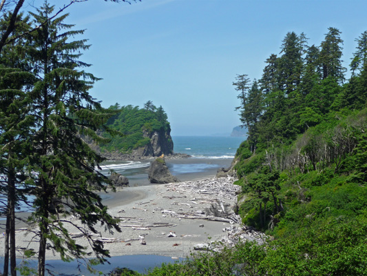 Ruby Beach view top of the trail