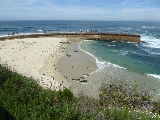 La Jolla Children's Beach