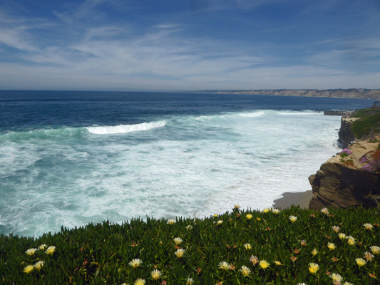 Surf La Jolla