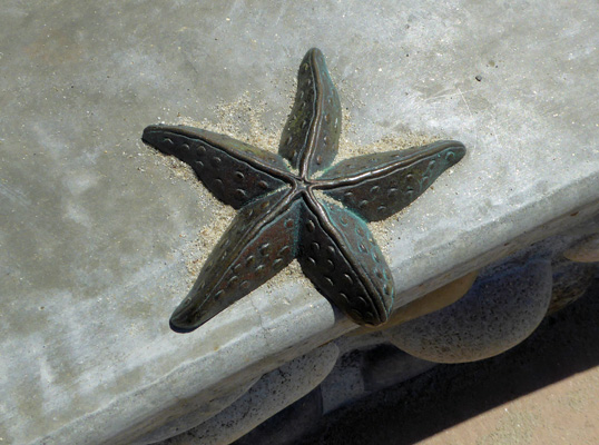 Bronze starfish La Jolla