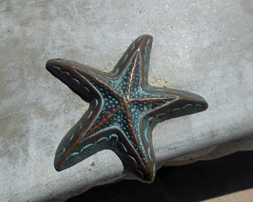 Bronze starfish La Jolla
