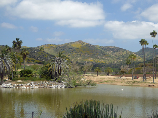 Lagoon and hills Safari Park