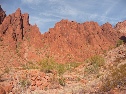 Palm Canyon hike Kofa National Wildlife Refuge