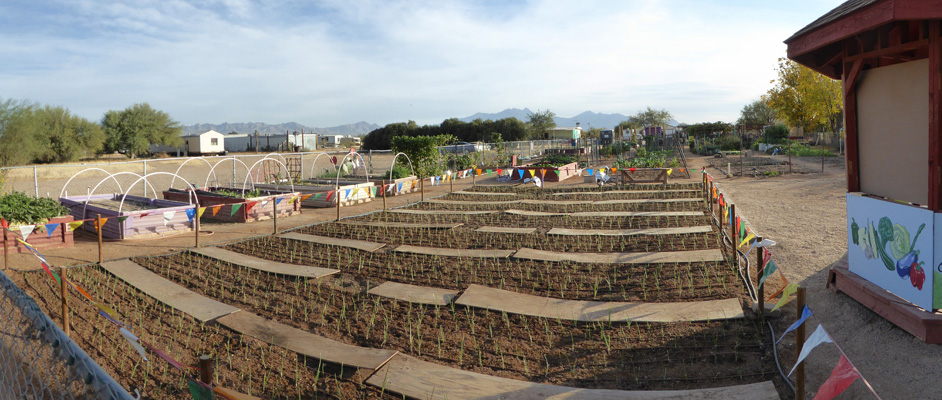 Sahuarita Community Garden