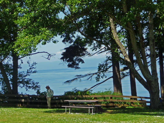 Salt Creek Campground campsite view