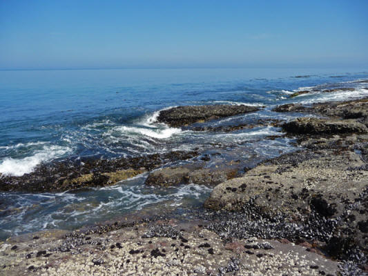 Surf on rocks at Salt Creek campground