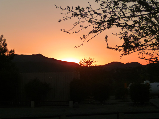 Sunset Jojoba Hills Aguanga CA
