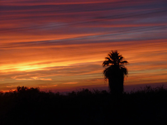 Sunset Holtville CA
