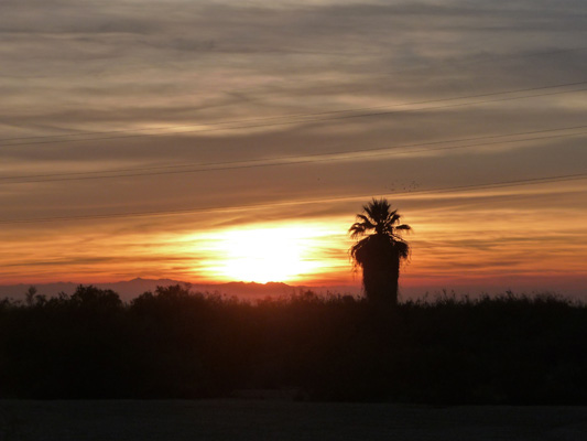 Sunset Holtville CA
