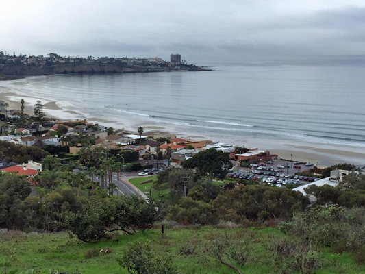 Birch Aquarium view