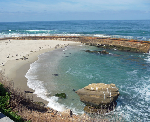 Childrens Pool La Jolla CA