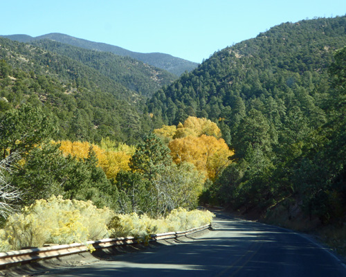 Fall Color Sante Fe