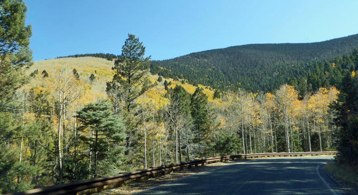 Fall color Santa Fe