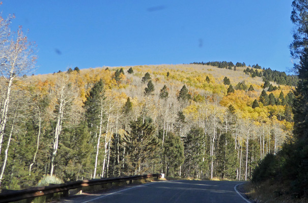 Fall color Santa Fe