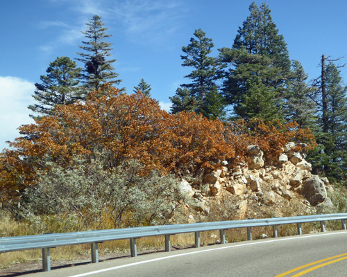 NM Hwy 536