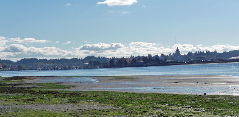 View from Priest Point Park across Bud Inlet