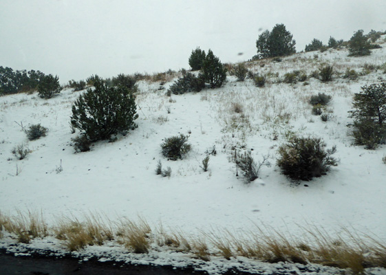 October snow in Flagstaff AZ