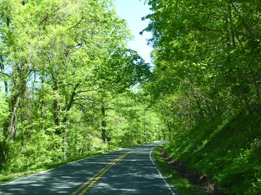 Skyline Drive Shenandoah NP