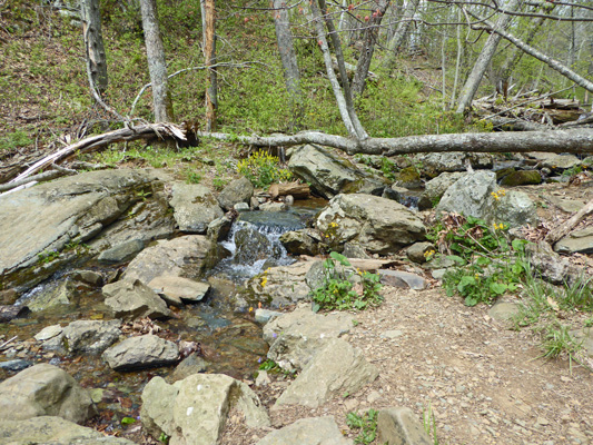 Dark Hollow cascade with flowers