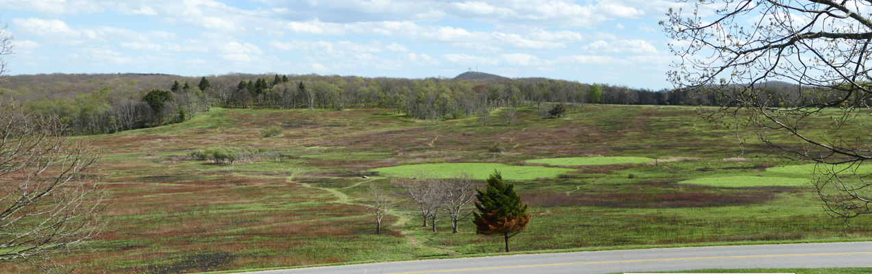 Big Meadow Shenandoah NP