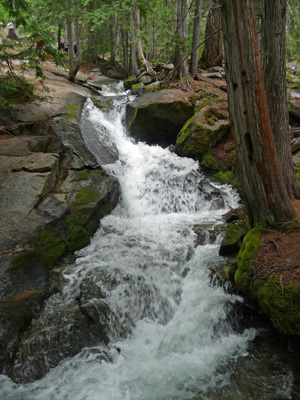 Silver Falls cascade wA