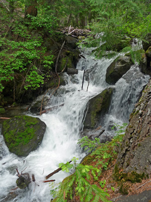 Silver Falls WA cascade